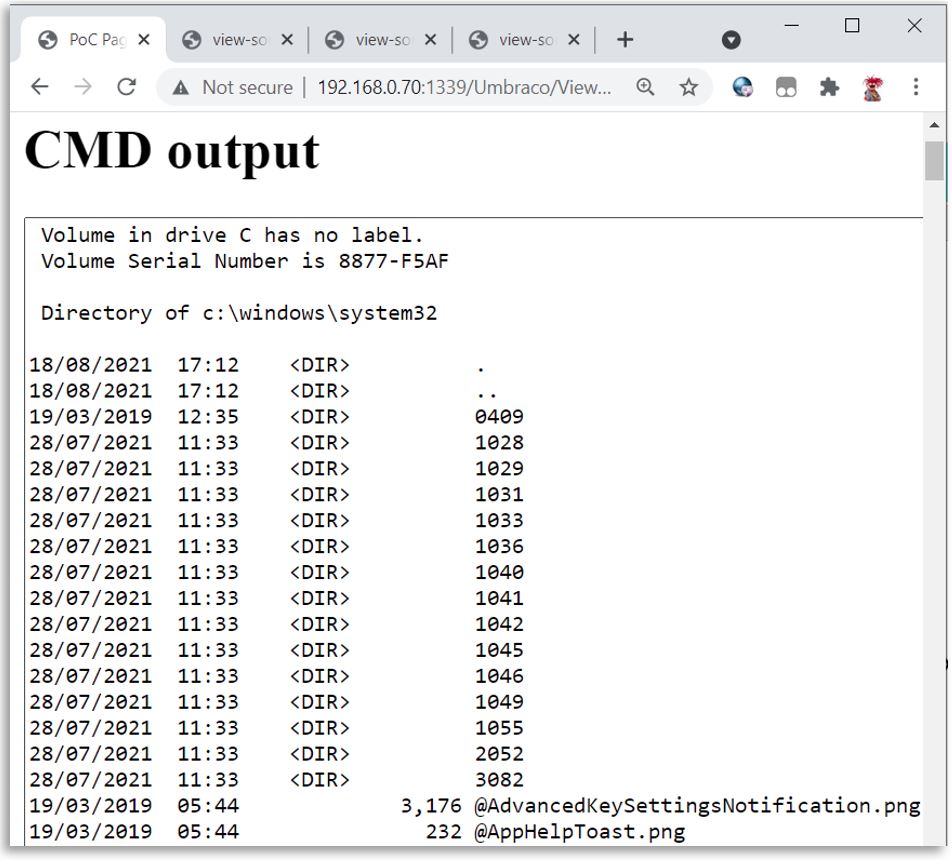 Web Shell Executing Commands
